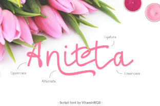 Anitta Script: A Designer’s Review