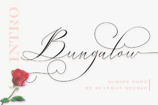 Bungalow Script: A Happy Typeface for Campaigns