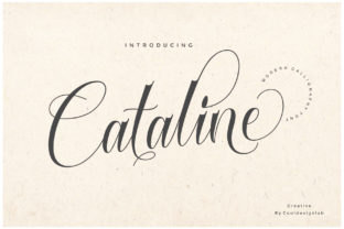 Cataline Script Font for Small Business Branding