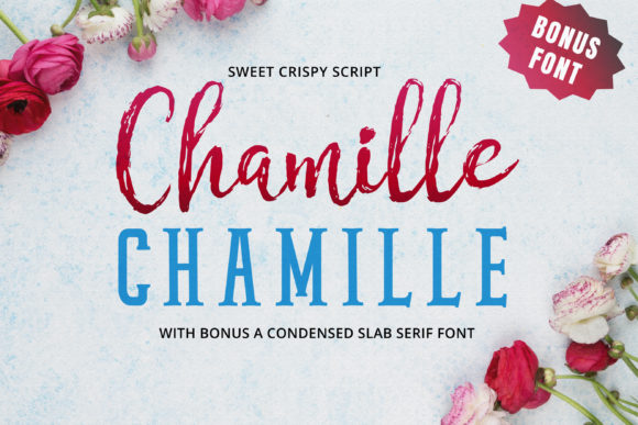 Chamille Script: A Typeface for Authentic Brands