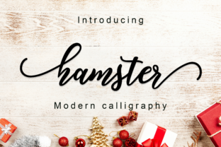 Hamster Script: A Modern Typeface for Digital Design