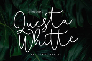 Questa Whitte Script: A Signature Font for Bold Campaigns